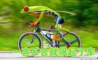 娱乐吃瓜酱自行车,自行车界的潮流新宠